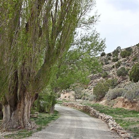 Hidden Canyon Retreat Baker Εξωτερικό φωτογραφία