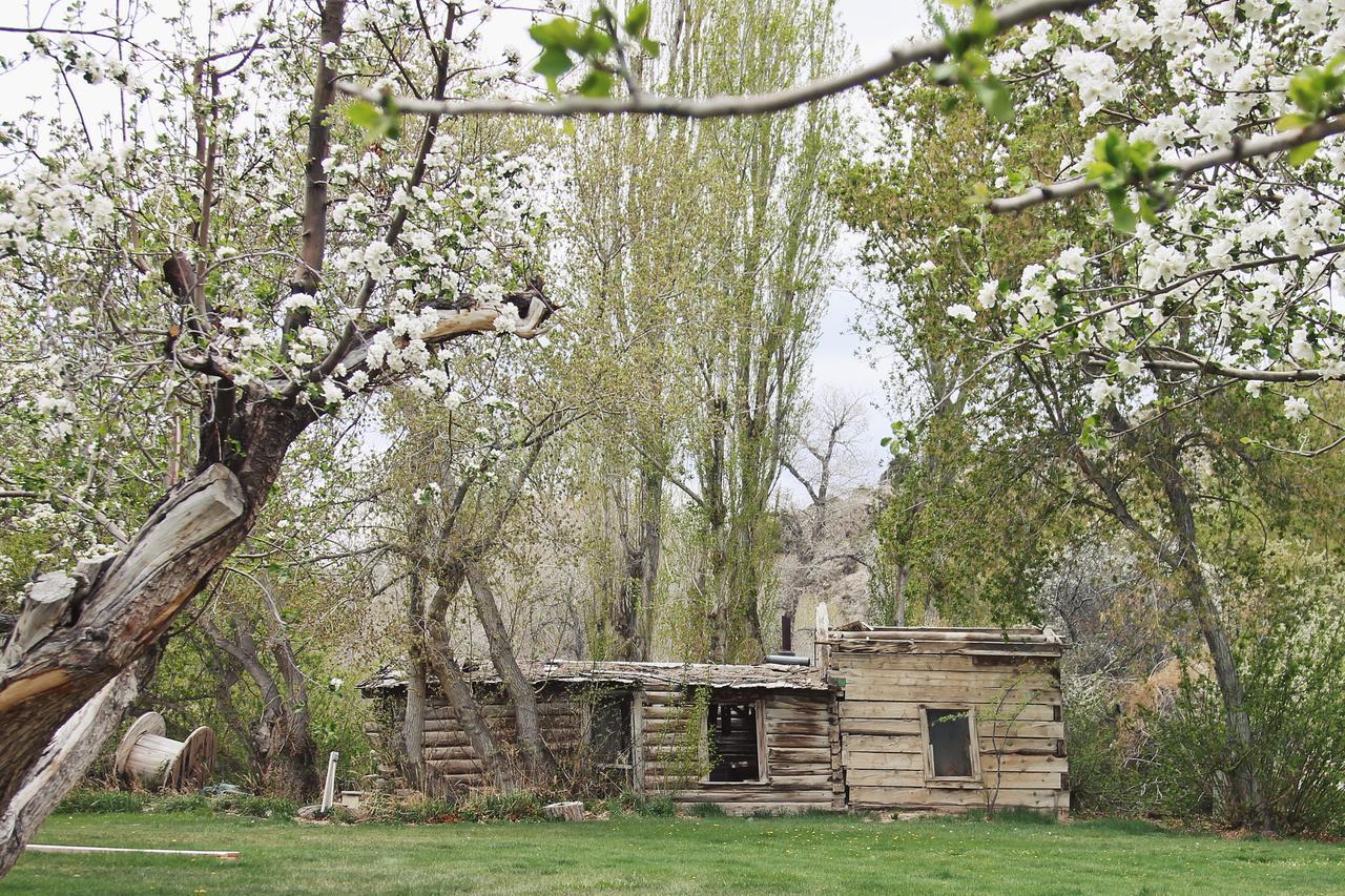Hidden Canyon Retreat Baker Εξωτερικό φωτογραφία